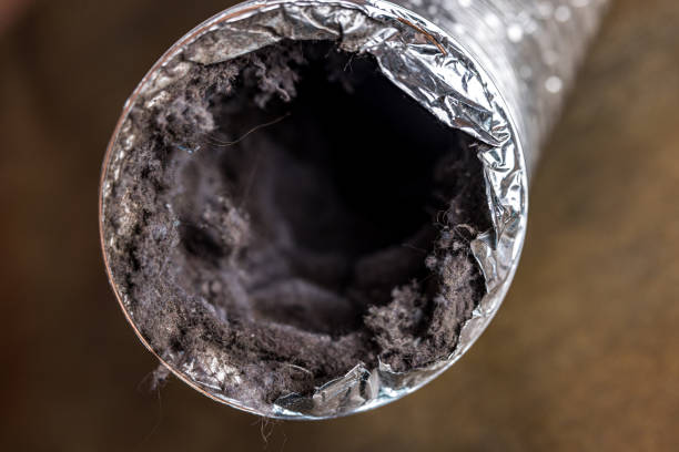 Best HVAC Maintenance and Cleaning  in West Whittier Los Nietos, CA