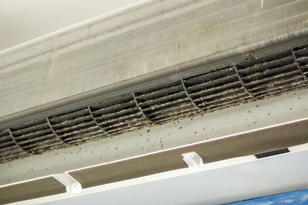 Best Air Duct Cleaning Company Near Me  in West Whittier Los Nietos, CA